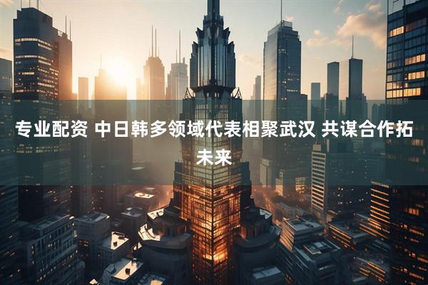 专业配资 中日韩多领域代表相聚武汉 共谋合作拓未来